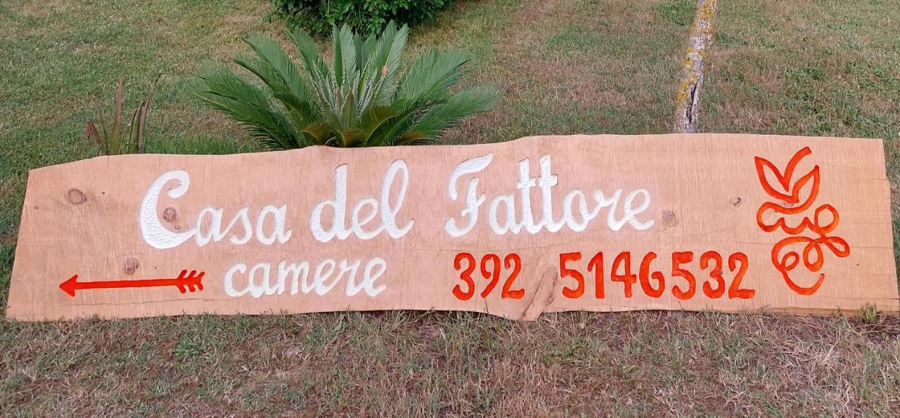 Casa Del Fattore Osimo Eksteriør billede